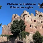 Les Lilas, Centre Alsace, Avec Jacuzzi Holiday home