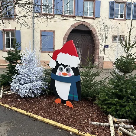 Les Lilas, Centre Alsace, Avec Jacuzzi Mackenheim