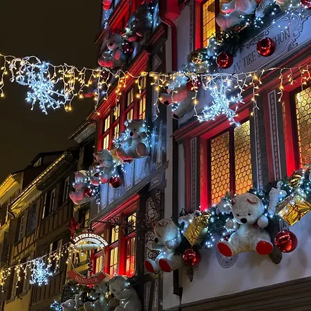 Les Lilas, Centre Alsace, Avec Jacuzzi * Mackenheim