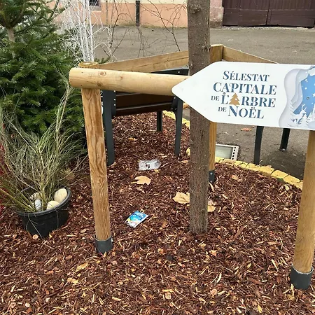 Tatil Evi Les Lilas, Centre Alsace, Avec Jacuzzi