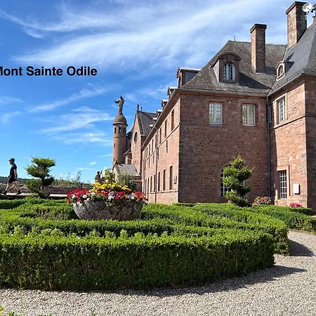 Les Lilas, Centre Alsace, Avec Jacuzzi Tatil Evi *