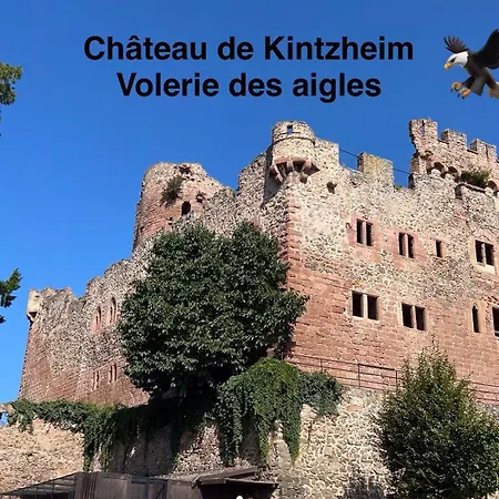 Les Lilas, Centre Alsace, Avec Jacuzzi Сasa de vacaciones