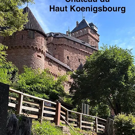 Les Lilas, Centre Alsace, Avec Jacuzzi Tatil Evi